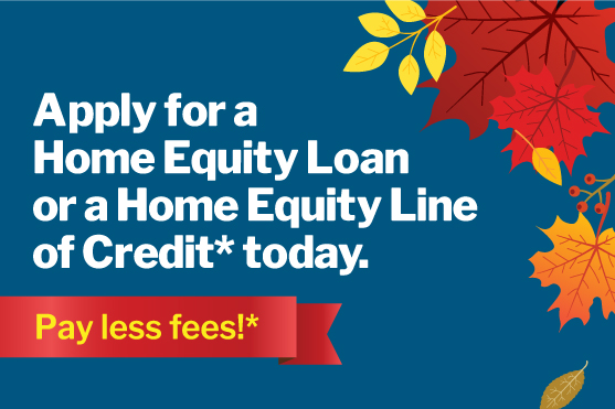 Assorted autumn leaves and berries.